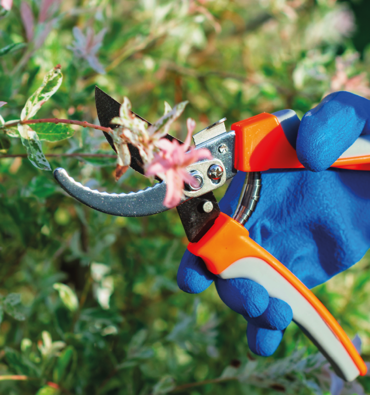 Grünflächenpflege durch die Löwenbau GmbH – professioneller Heckenschnitt